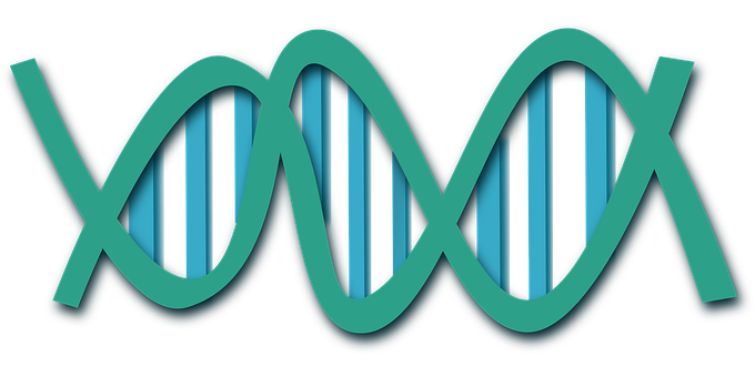 Abstract D N A Double Helix Illustration PNG image with a transparent background, free high-resolution download