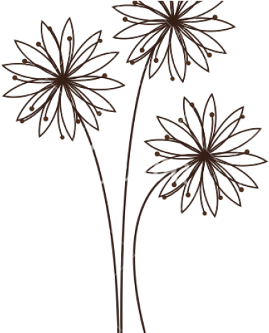 Daisy Flower Outline - Transparent Flower Outline Png, Png Download PNG with transparent background