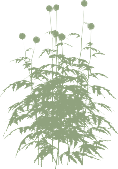 Abstract Dandelion Silhouette PNG with transparent background