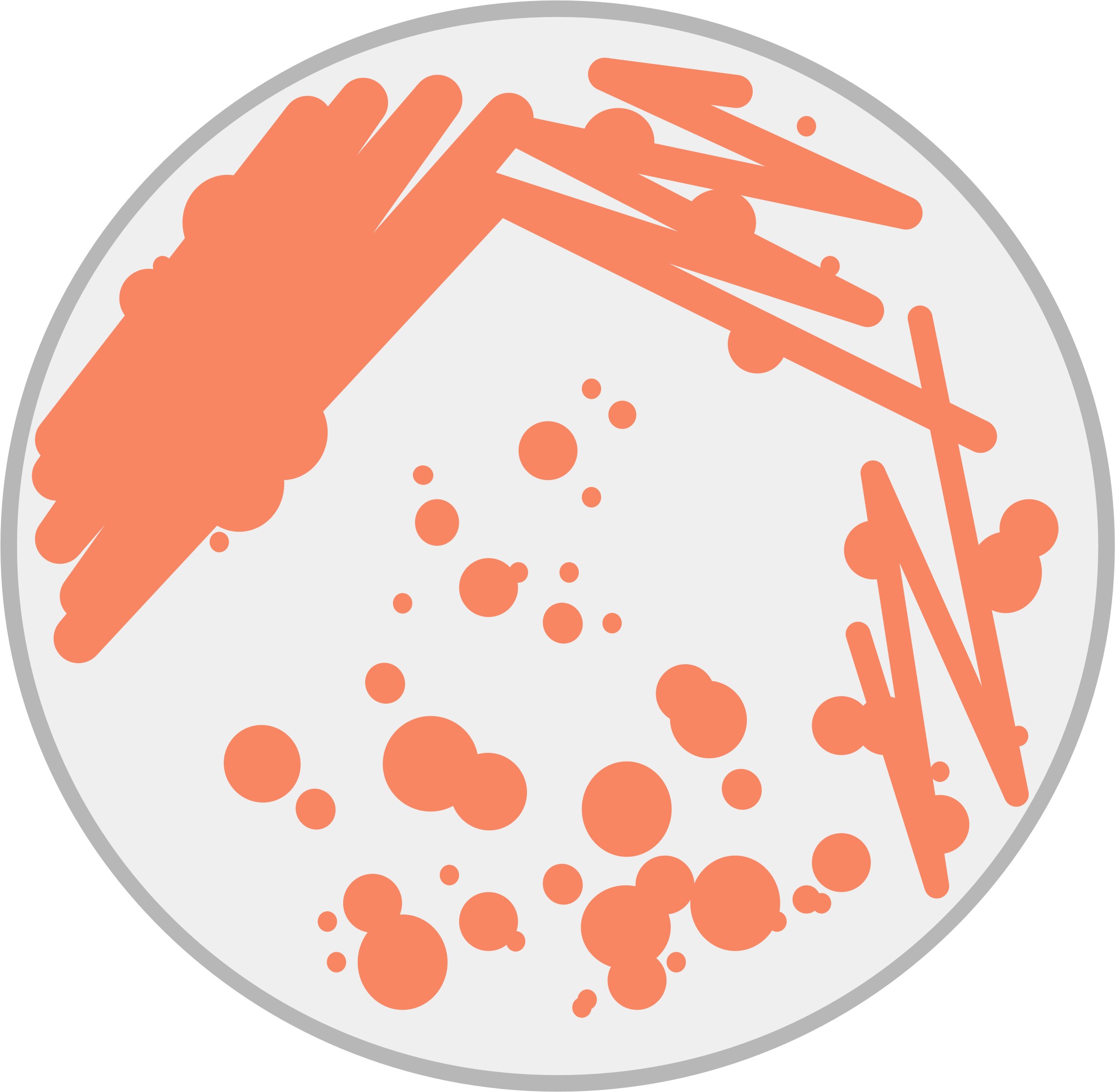 Abstract Dish Splatter Pattern