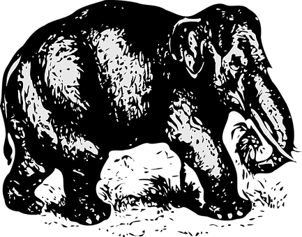 Abstract Elephant Illusion Art.jpg PNG with transparent background