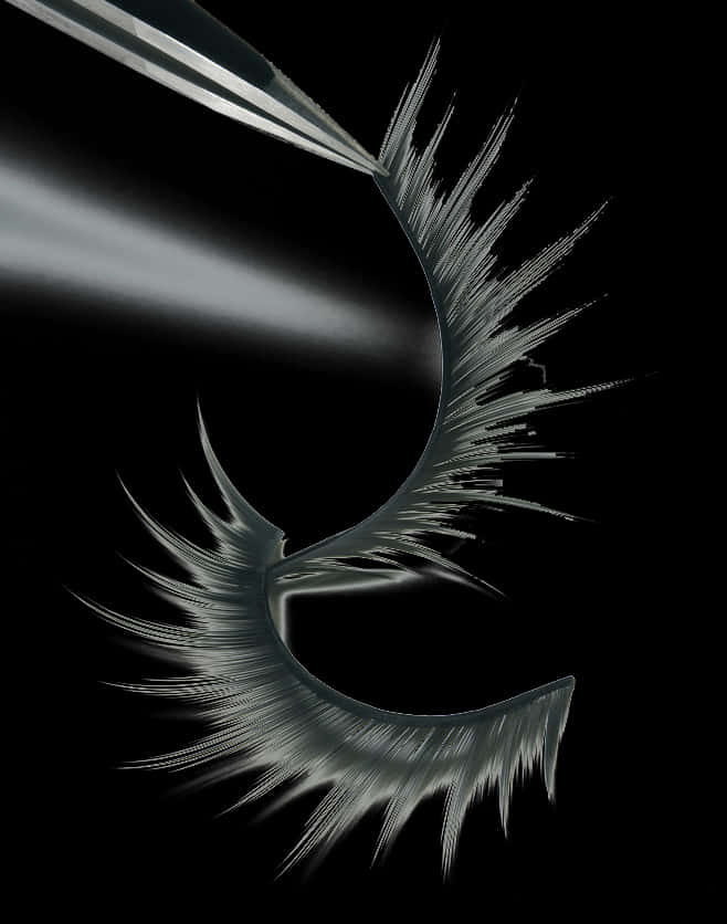Lashes Png, Transparent Png PNG with transparent background