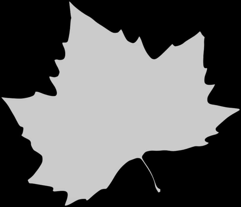 Transparent Leaf Clipart - Leaf Black And White Outline, HD Png Download PNG with transparent background