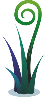 Abstract Fern Spiral Graphic PNG with transparent background