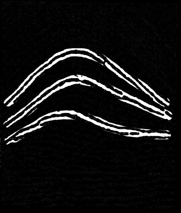Abstract Fingerprint Lines Blackand White PNG with transparent background