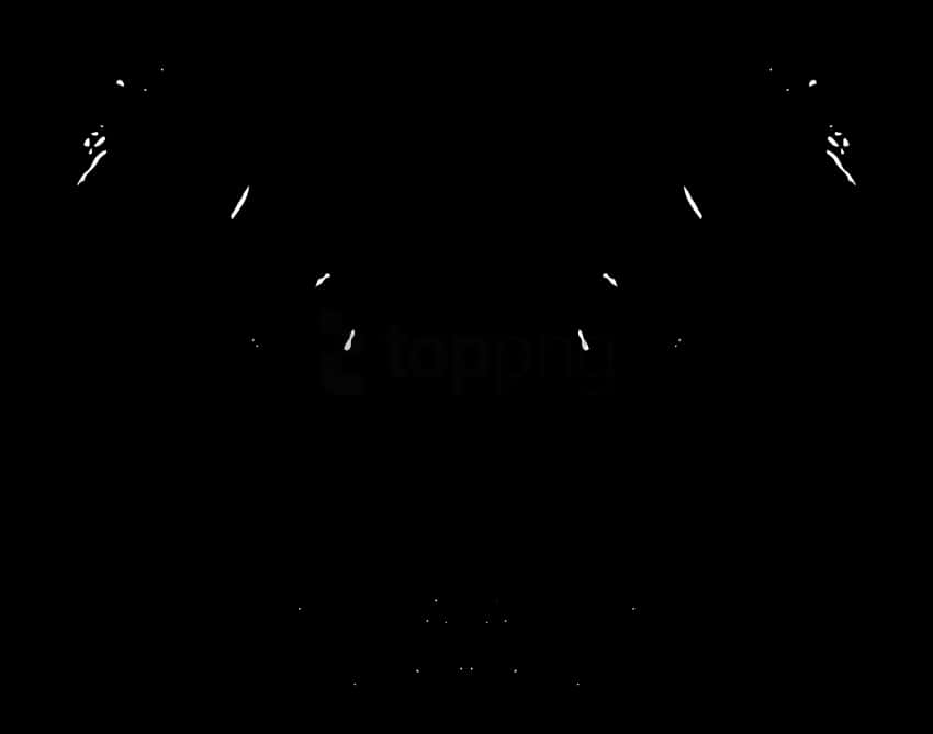 Abstract Fingerprint Pattern PNG with transparent background