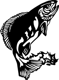 Abstract Fish Art Blackand White PNG with transparent background