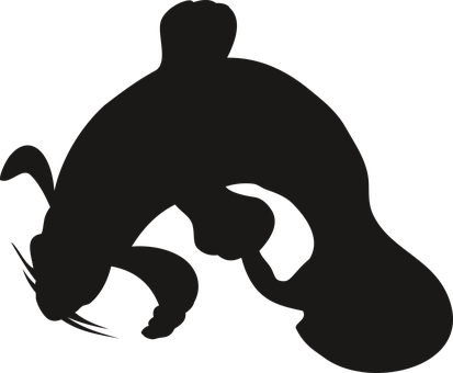 Abstract Fish Cat Silhouette PNG with transparent background