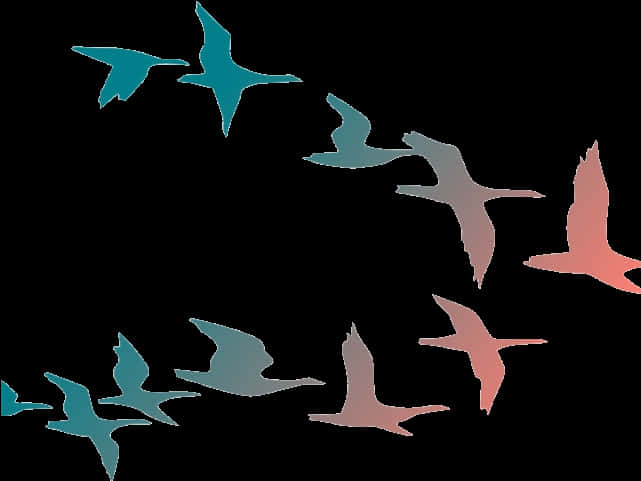 Abstract Flockof Birds Silhouettes