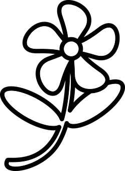Abstract Flower Silhouette Black Background PNG with transparent background
