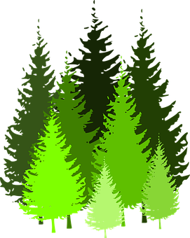 Abstract Forest Glowing Gradient PNG with transparent background