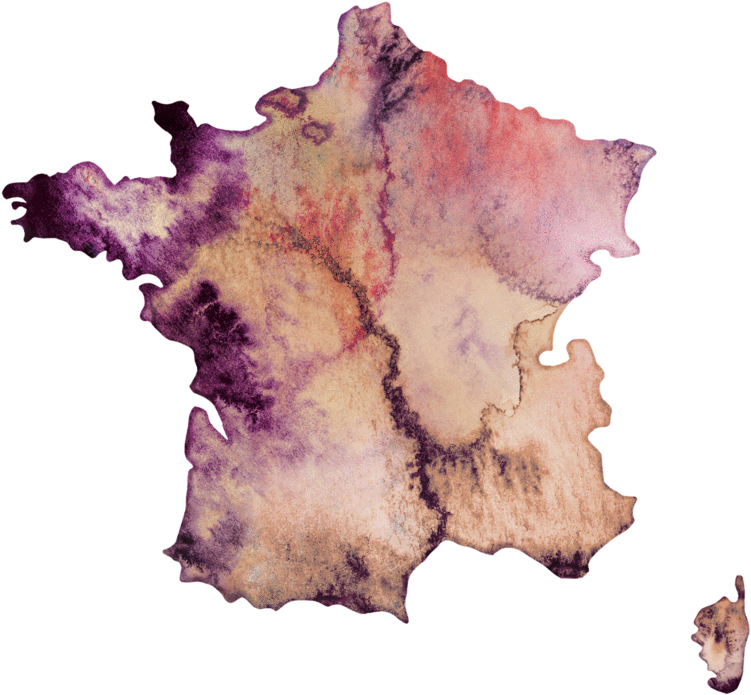 Abstract France Map Artwork