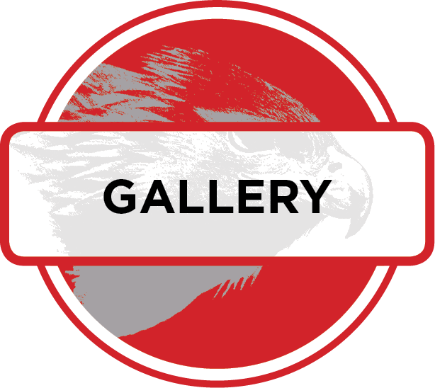 Abstract Gallery Sign Graphic