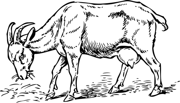 Abstract_ Goat_ Silhouette PNG with transparent background