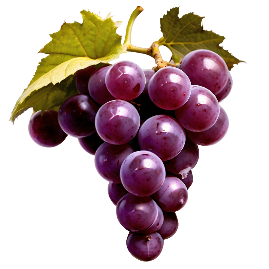 Abstract Grape Design Png 66