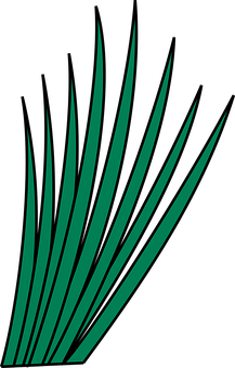 Abstract Grass Blades Graphic PNG with transparent background