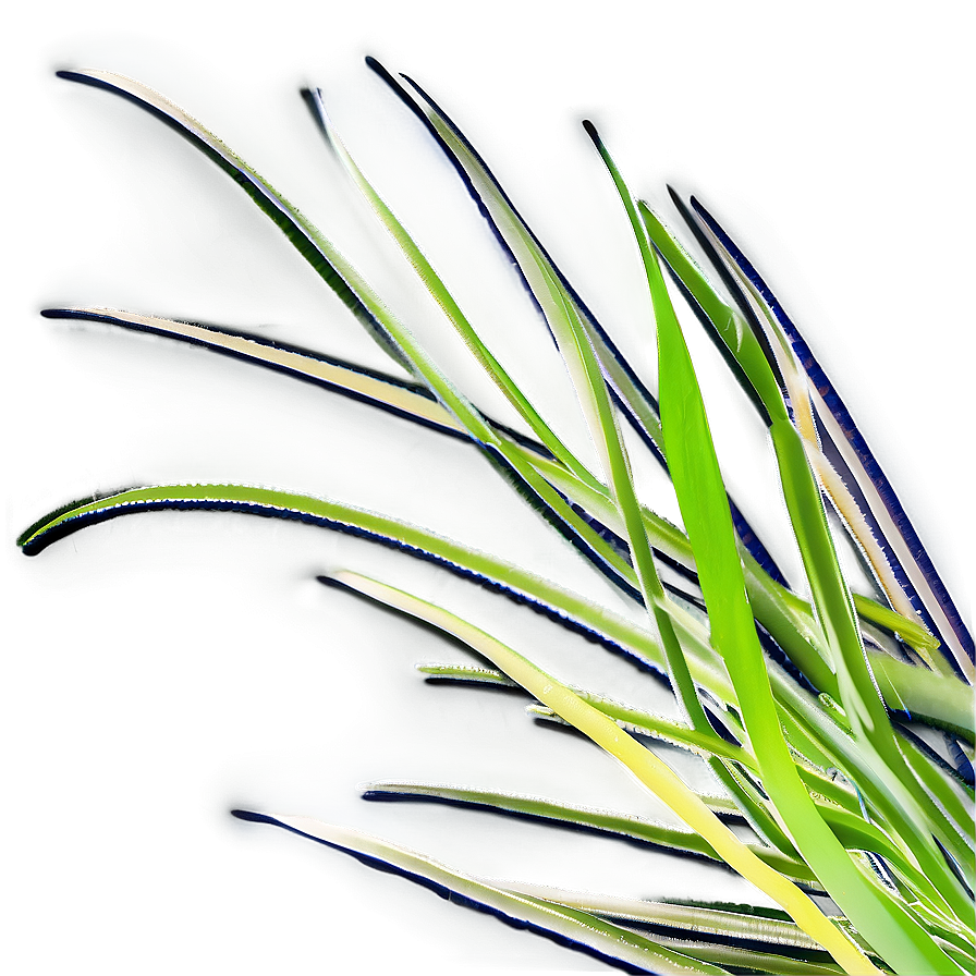 Abstract Grass Design Png 33