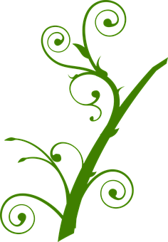 Abstract Green Floral Design PNG with transparent background