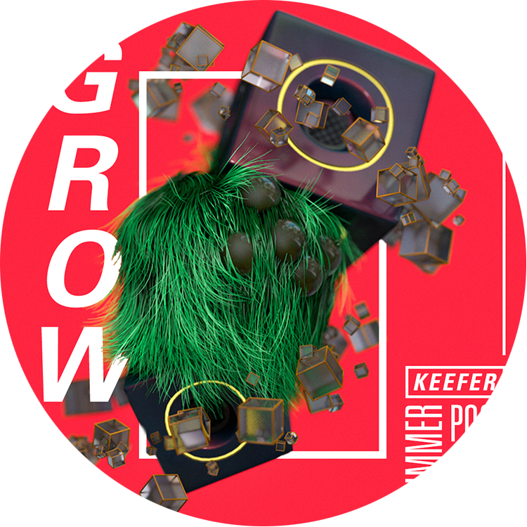 Wr Icon - Cd, HD Png Download PNG with transparent background