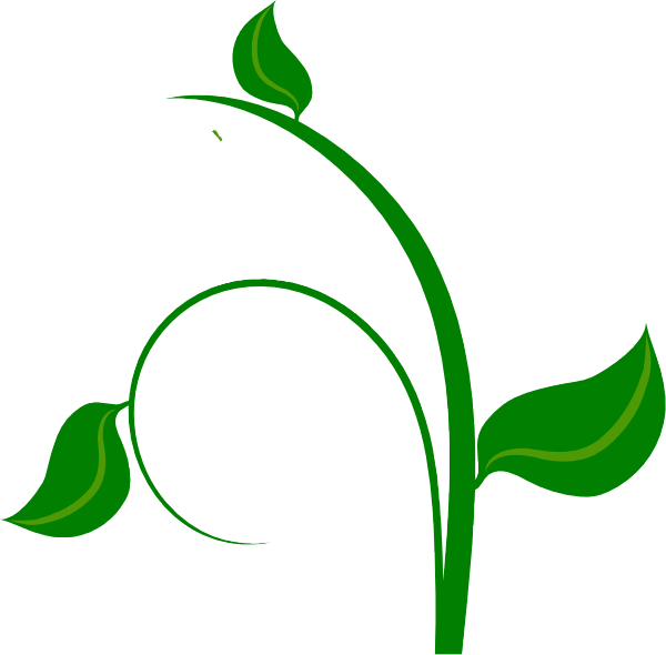 Green Clip Art At - Flower Vine Clip Art, HD Png Download PNG with transparent background