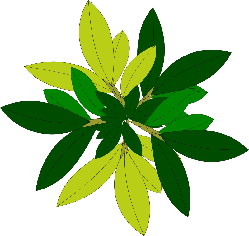 Abstract Green Leaves Design