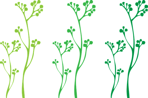Abstract Green Plant Illustration PNG with transparent background