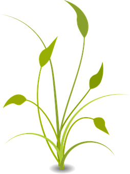 Abstract Green Plant Illustration PNG with transparent background