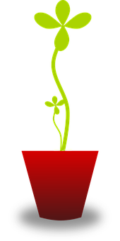 Abstract Green Plantin Red Pot PNG with transparent background