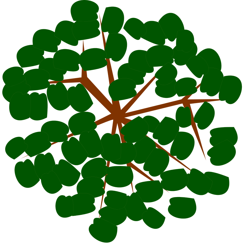 Abstract Green Tree Top View PNG with transparent background