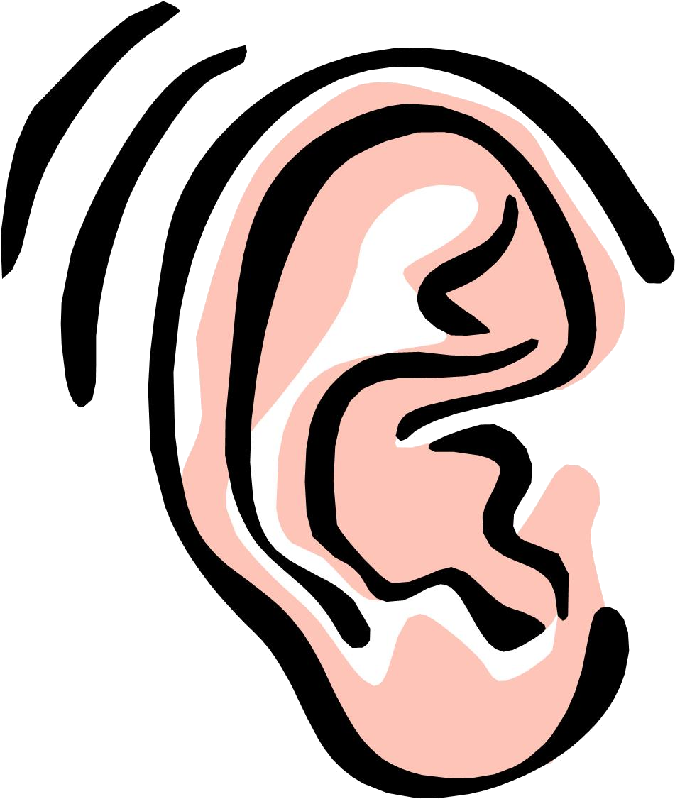 Ear Free Image Of The Clip Art On Transparent Png - Ear Clipart, Png Download PNG with transparent background