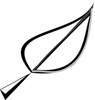 Abstract Leaf Graphic Blackand White PNG with transparent background