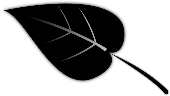 Abstract Leaf Silhouetteon Black PNG with transparent background