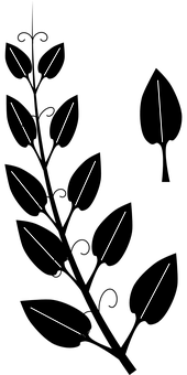 Abstract Light Streakson Black Background PNG with transparent background