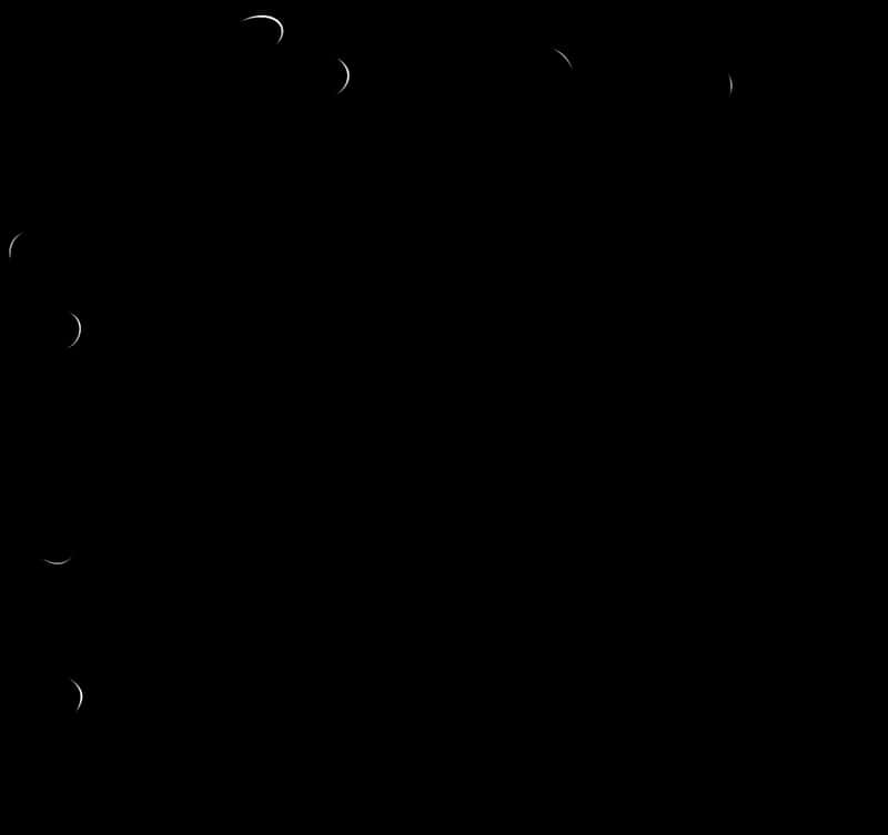 Abstract Moon Phases Vector