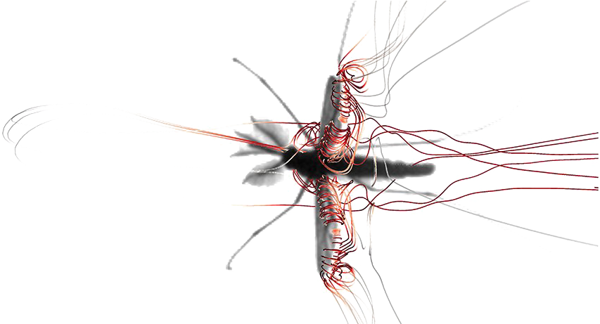 Mosquito Png Image Background - Mosquito Flying, Transparent Png PNG with transparent background