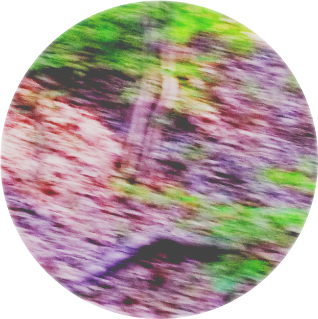 Abstract Nature Blur Circle.jpg