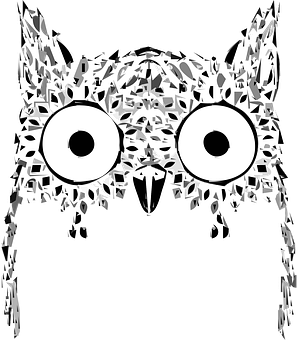 Abstract Owl Artwork PNG with transparent background