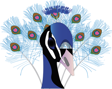 Abstract Peacock Illustration