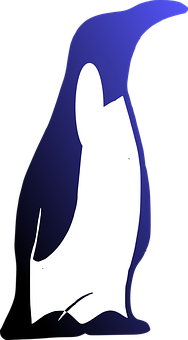 Abstract Penguin Graphic