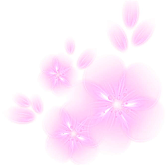 Ftestickers Flowers Light Glowing - Orchid, HD Png Download PNG with transparent background