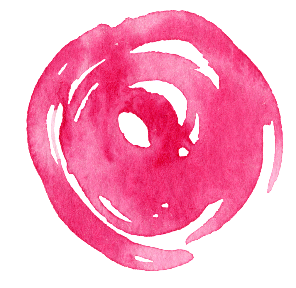 Pink Carnation Cartoon Transparent - Pink Carnation Clipart Transparent Background, HD Png Download PNG with transparent background