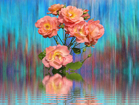 Abstract Pink Roses Reflection