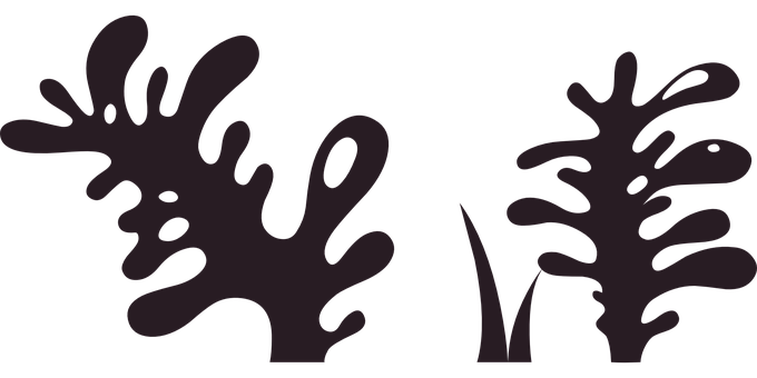Abstract_ Plant_ Silhouettes_ Vector PNG with transparent background