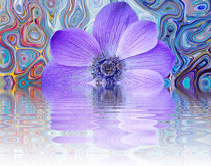 Abstract Purple Flower Reflection PNG with transparent background