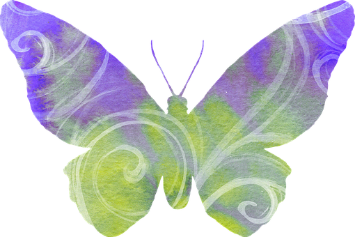 Abstract Purple Green Butterfly Art PNG with transparent background