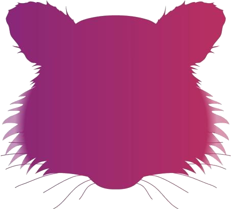 Raccoon Face Png Hd Image - Illustration, Transparent Png PNG with transparent background