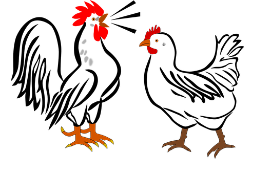 Abstract Rooster Parts Illustration PNG with transparent background