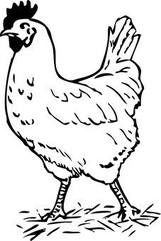 Abstract Rooster Silhouette PNG with transparent background