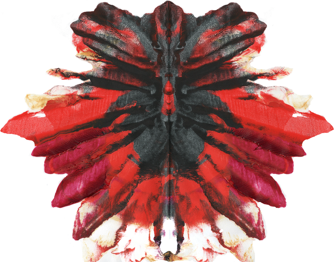 Rose Petals Blot - Craft, HD Png Download PNG with transparent background
