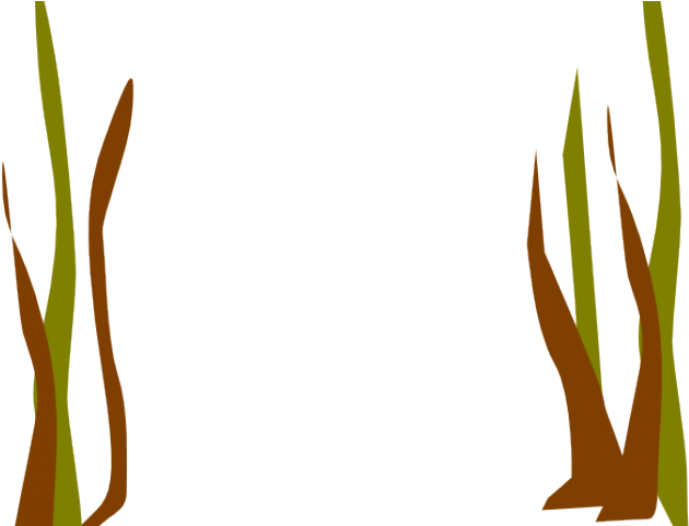 Fish Clipart Seaweed, HD Png Download PNG with transparent background